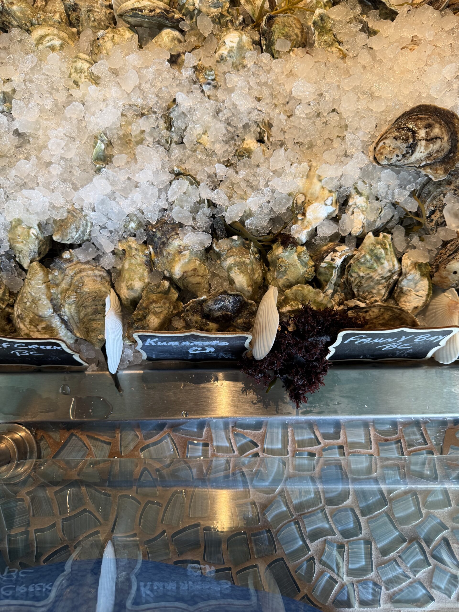 A close view of East and West Coast oysters nestled in crushed ice