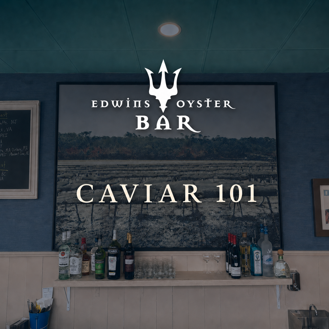 Caviar 101